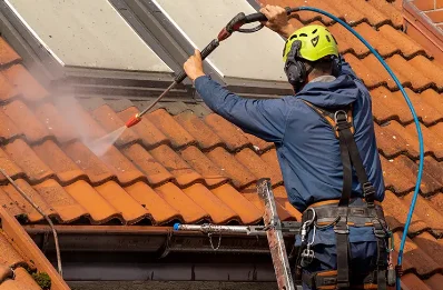 Démoussage et hydrofuge de toiture à Sainte-Colombe-en-Bruilhois